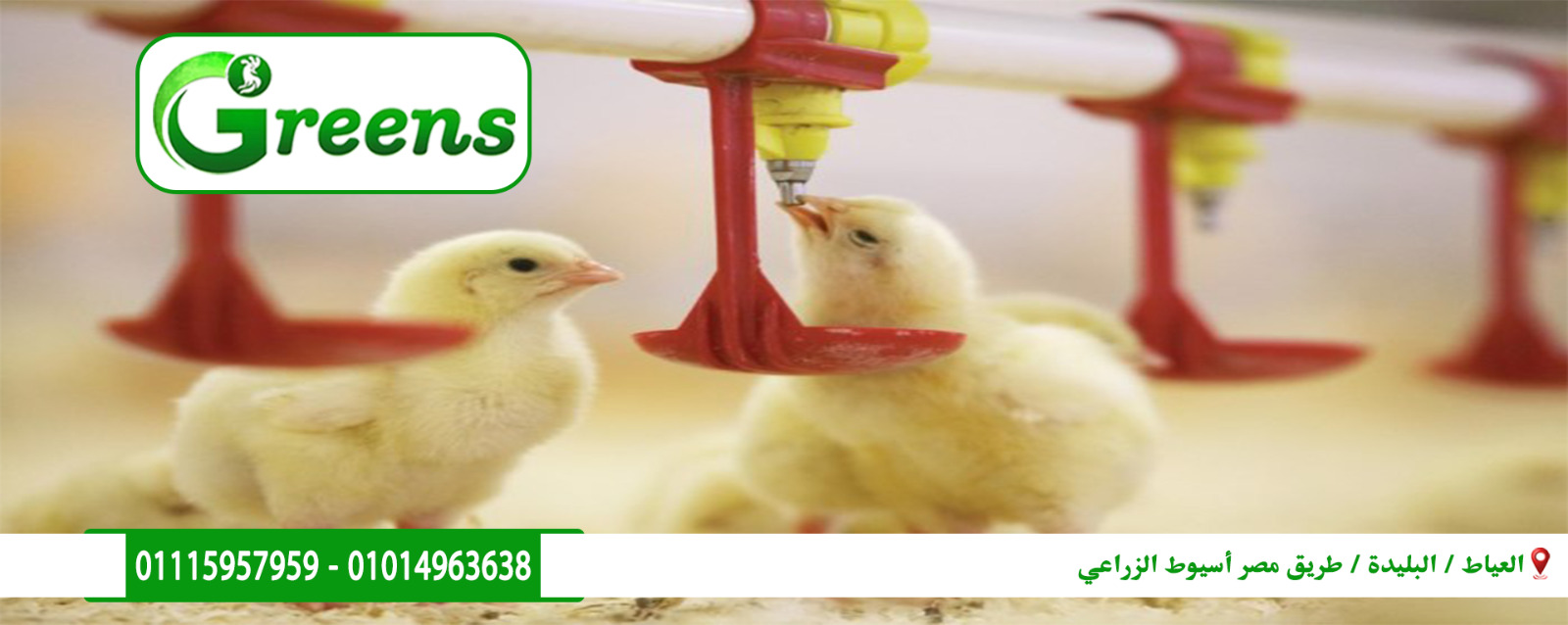 شركة جرينز للتوكيلات التجارية